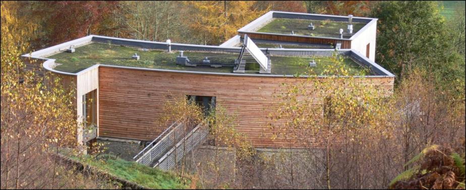 suds in green roofs