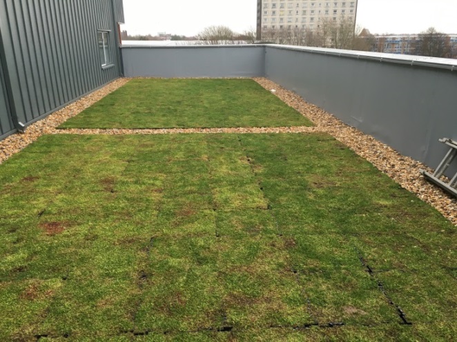 green_roof